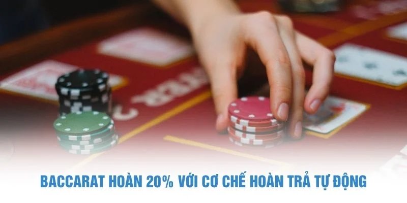 Baccarat hoàn 20%