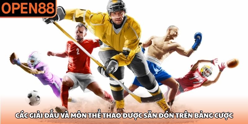 Các giải đấu và môn thể thao được săn đón trên bảng cược thể thao open88